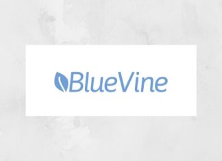 BlueVine Online Business Loan - How to Apply?