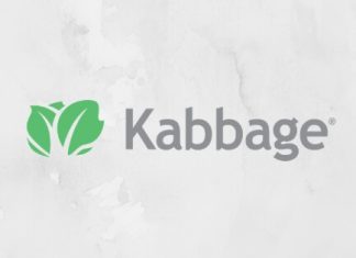 Kabbage Online Business Loan - How to Apply?