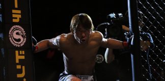 Discover How to Watch UFC Online