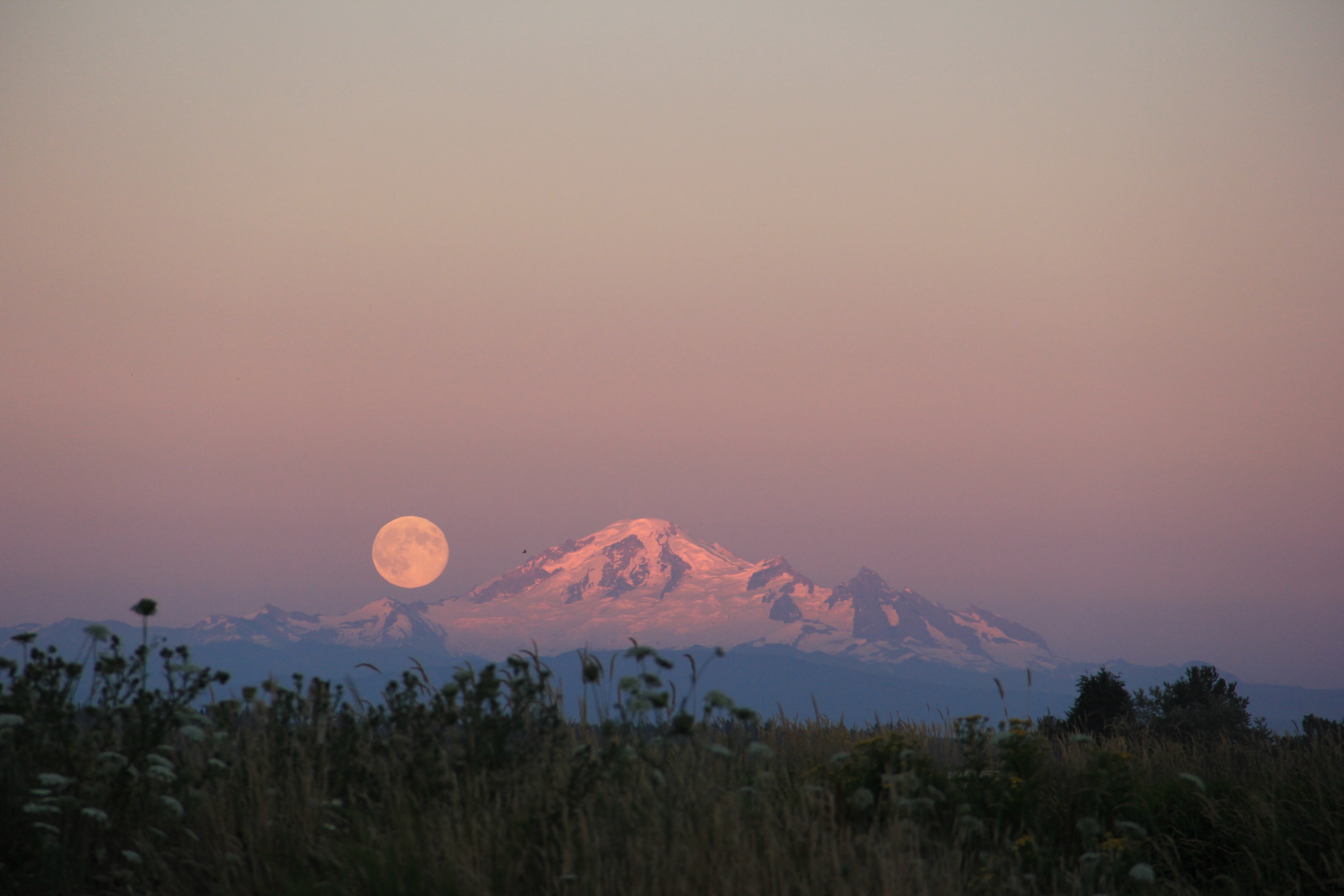 Learn How to Take a Picture of the Moon - DSLR Guide